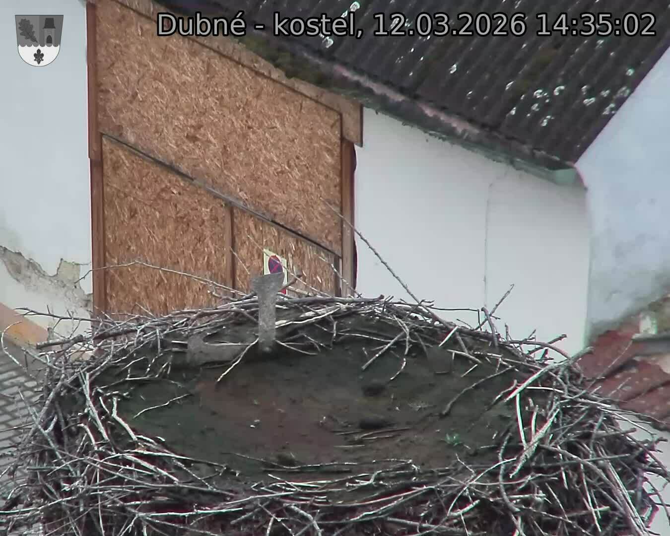 Capi_Dubne_20260312_143502.jpg (1350&nbsp;x&nbsp;1080)