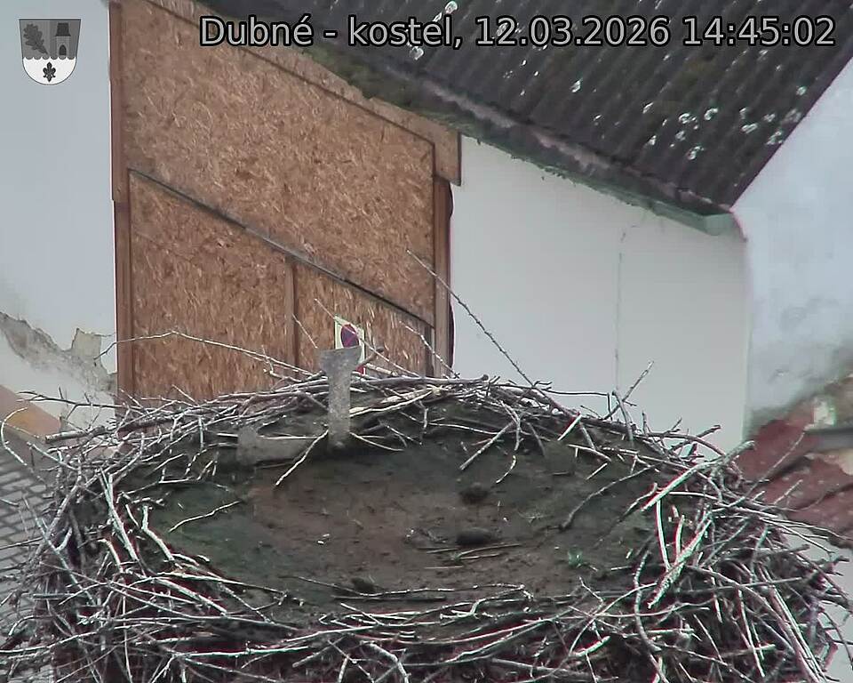 Capi_Dubne_20260312_144502.jpg (1350&nbsp;x&nbsp;1080)