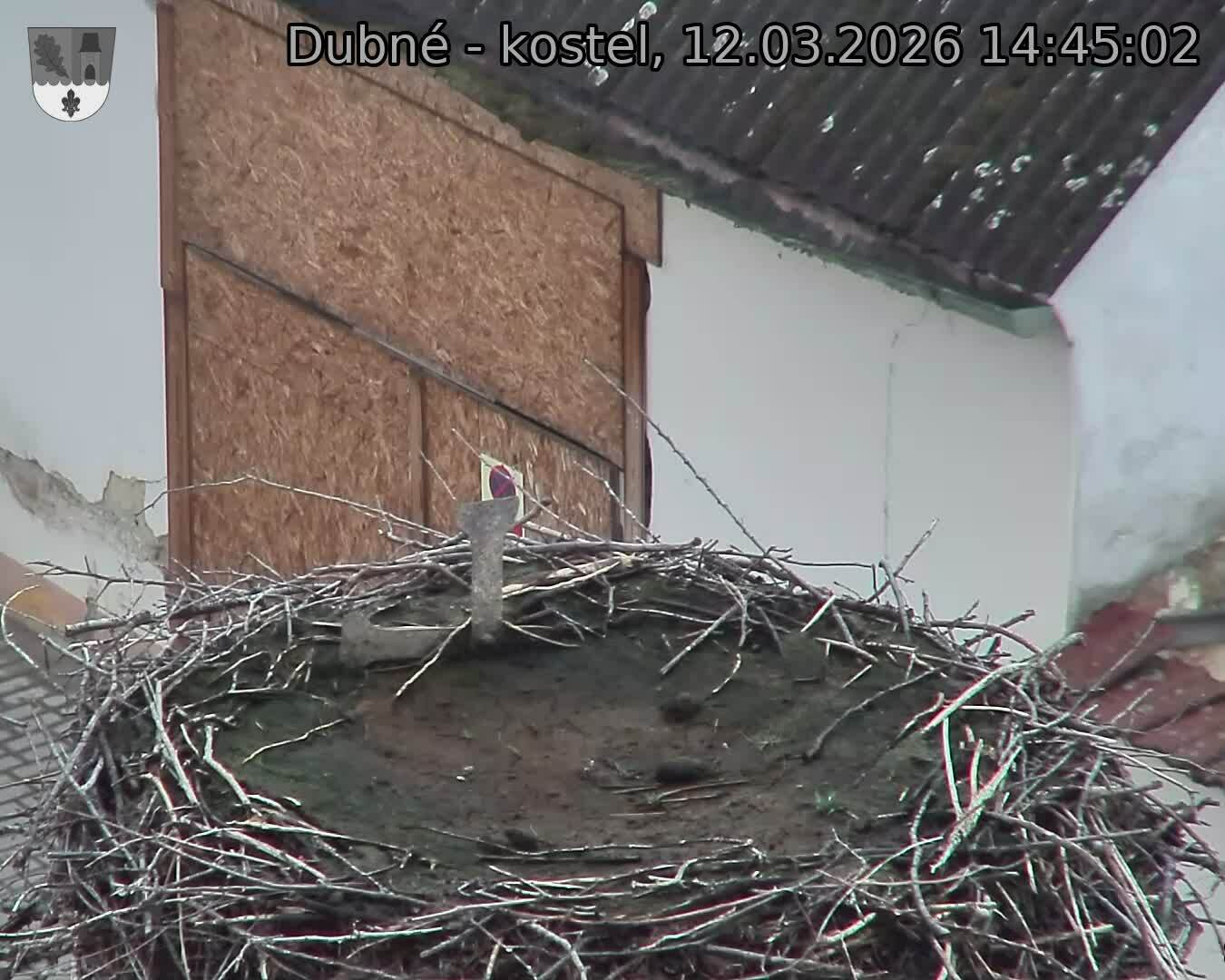 Capi_Dubne_20260312_144502.jpg (1350&nbsp;x&nbsp;1080)