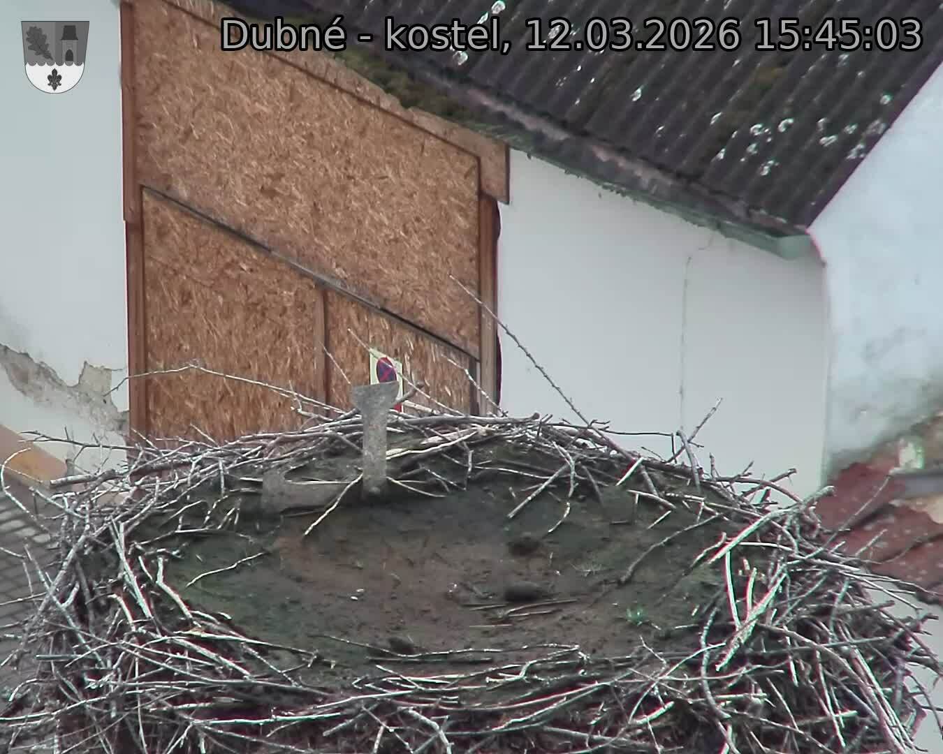 Capi_Dubne_20260312_154503.jpg (1350&nbsp;x&nbsp;1080)