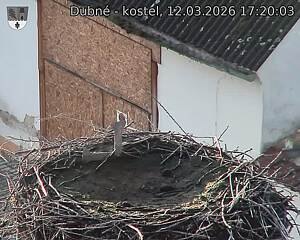 Capi_Dubne_20260312_172003.jpg (1350&nbsp;x&nbsp;1080)