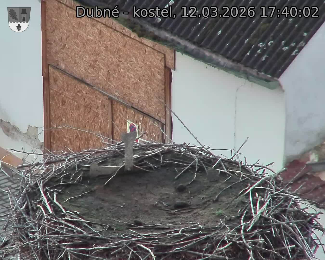 Capi_Dubne_20260312_174002.jpg (1350&nbsp;x&nbsp;1080)