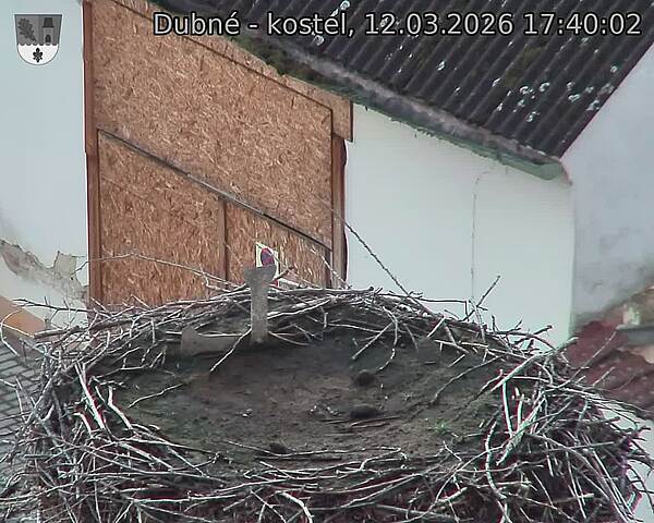 Capi_Dubne_20260312_174002.jpg (1350&nbsp;x&nbsp;1080)