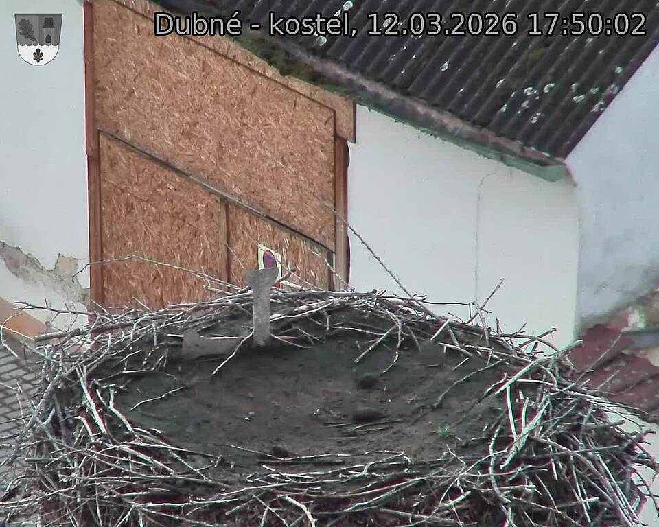 Capi_Dubne_20260312_175002.jpg (1350&nbsp;x&nbsp;1080)