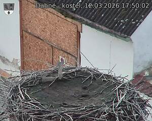 Capi_Dubne_20260312_175002.jpg (1350&nbsp;x&nbsp;1080)