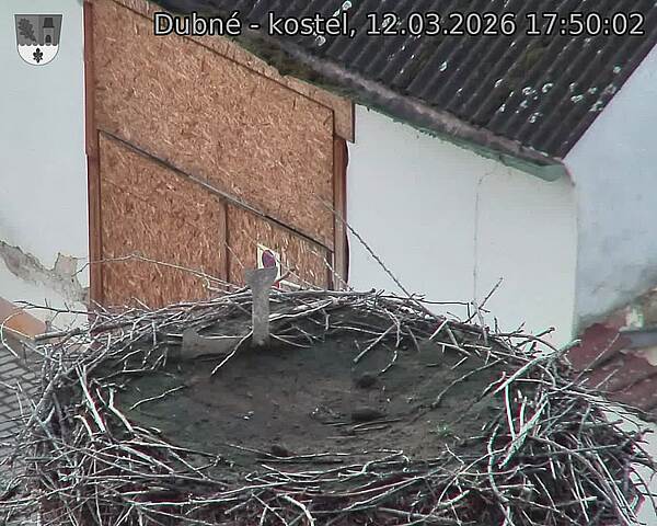 Capi_Dubne_20260312_175002.jpg (1350&nbsp;x&nbsp;1080)