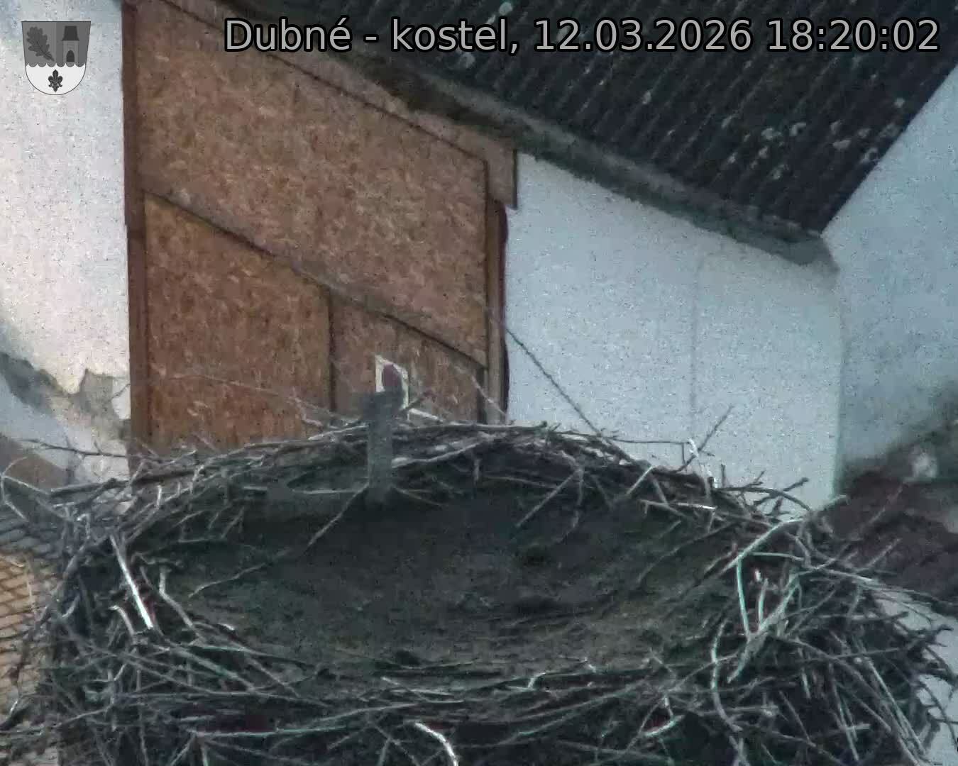 Capi_Dubne_20260312_182002.jpg (1350&nbsp;x&nbsp;1080)