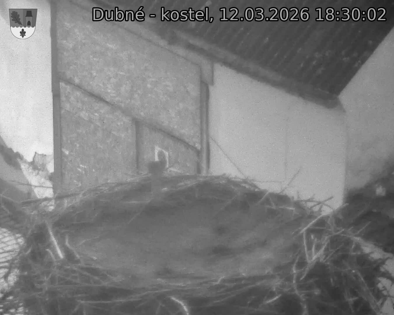 Capi_Dubne_20260312_183002.jpg (1350&nbsp;x&nbsp;1080)