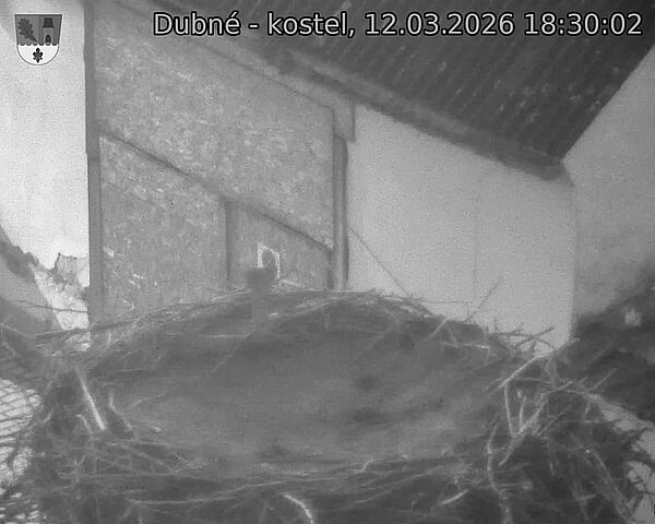 Capi_Dubne_20260312_183002.jpg (1350&nbsp;x&nbsp;1080)