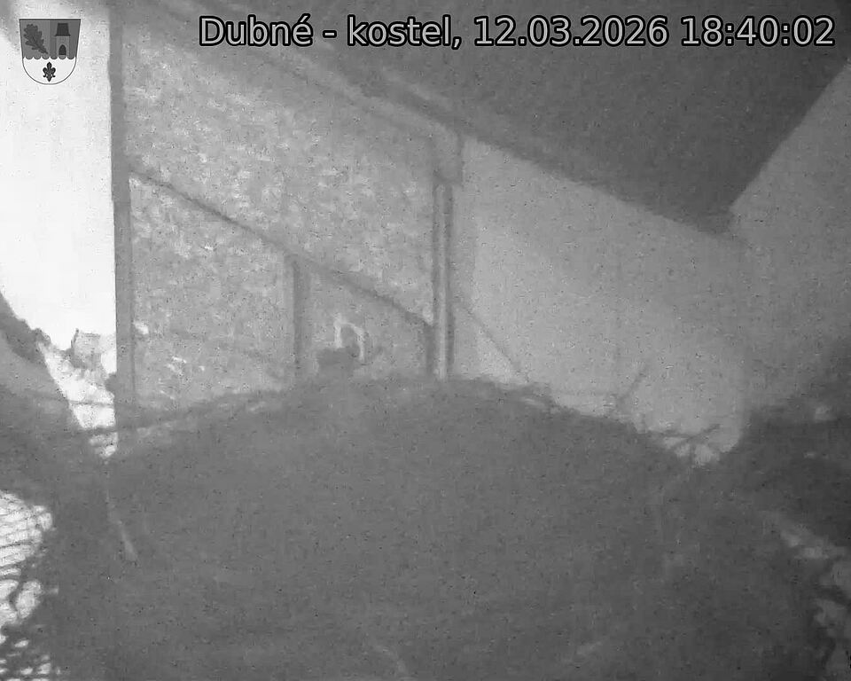Capi_Dubne_20260312_184002.jpg (1350&nbsp;x&nbsp;1080)