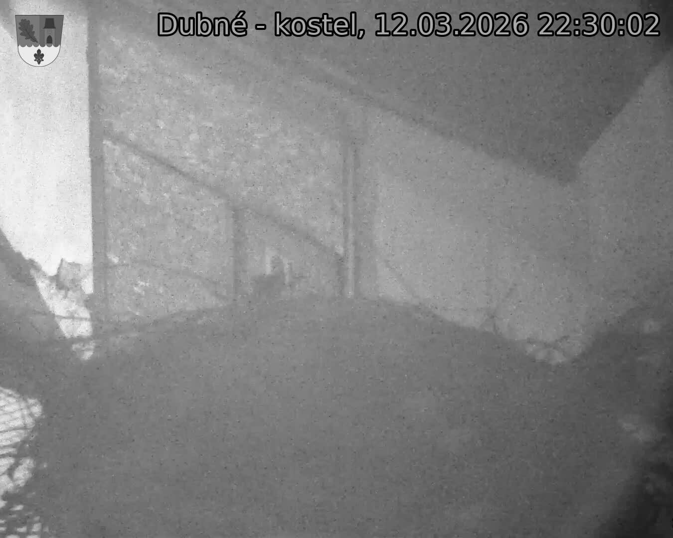Capi_Dubne_20260312_223002.jpg (1350&nbsp;x&nbsp;1080)