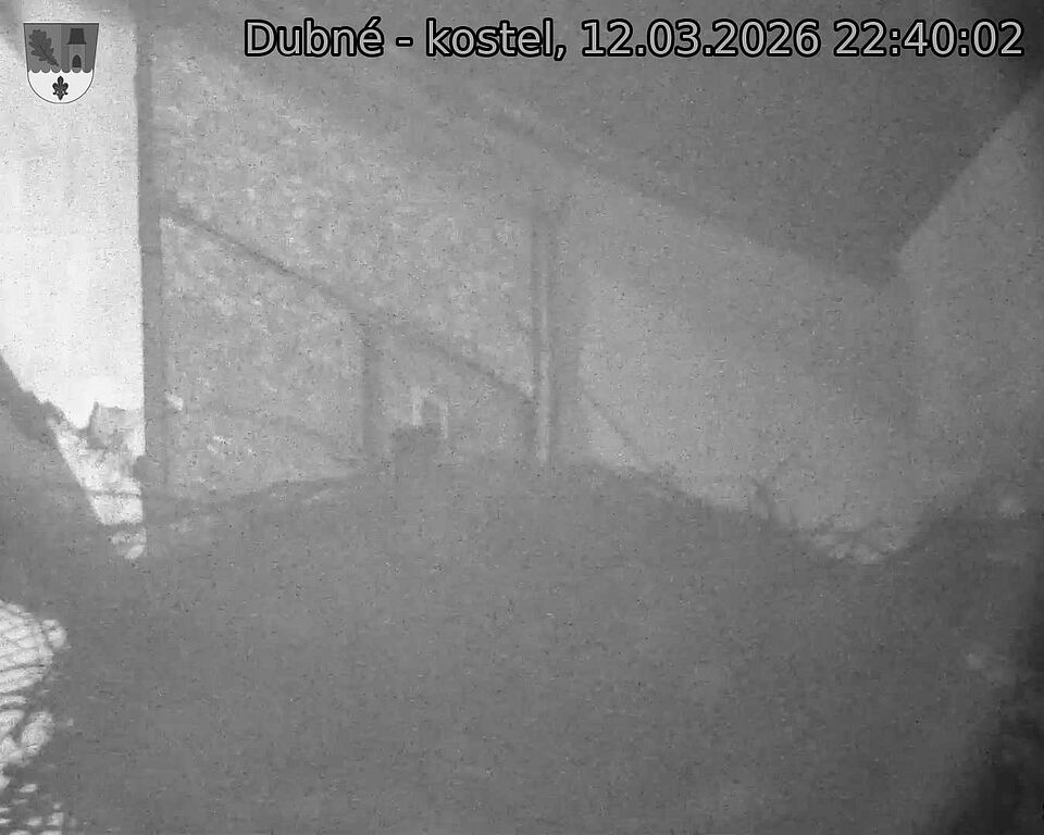 Capi_Dubne_20260312_224002.jpg (1350&nbsp;x&nbsp;1080)