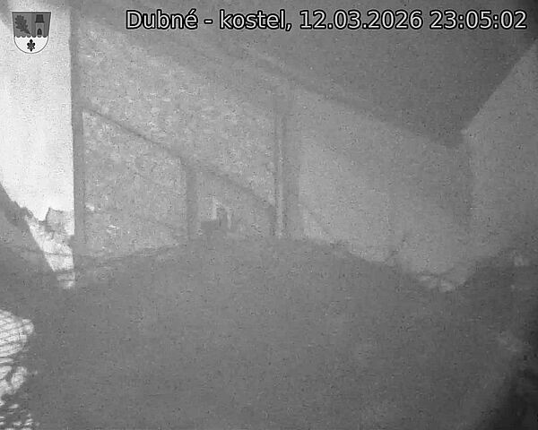 Capi_Dubne_20260312_230502.jpg (1350&nbsp;x&nbsp;1080)