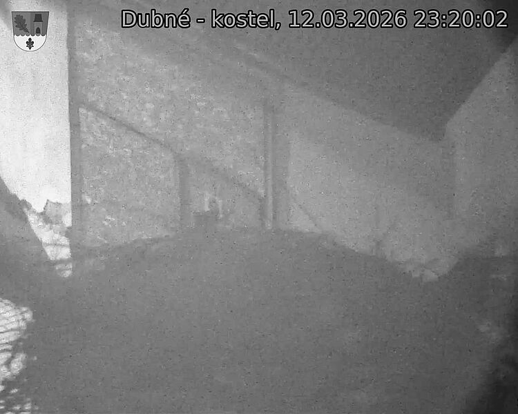 Capi_Dubne_20260312_232002.jpg (1350&nbsp;x&nbsp;1080)