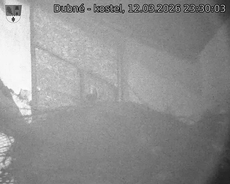 Capi_Dubne_20260312_233003.jpg (1350&nbsp;x&nbsp;1080)