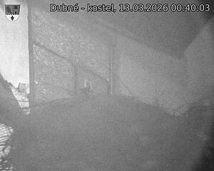 Capi_Dubne_20260313_004003.jpg (1350&nbsp;x&nbsp;1080)