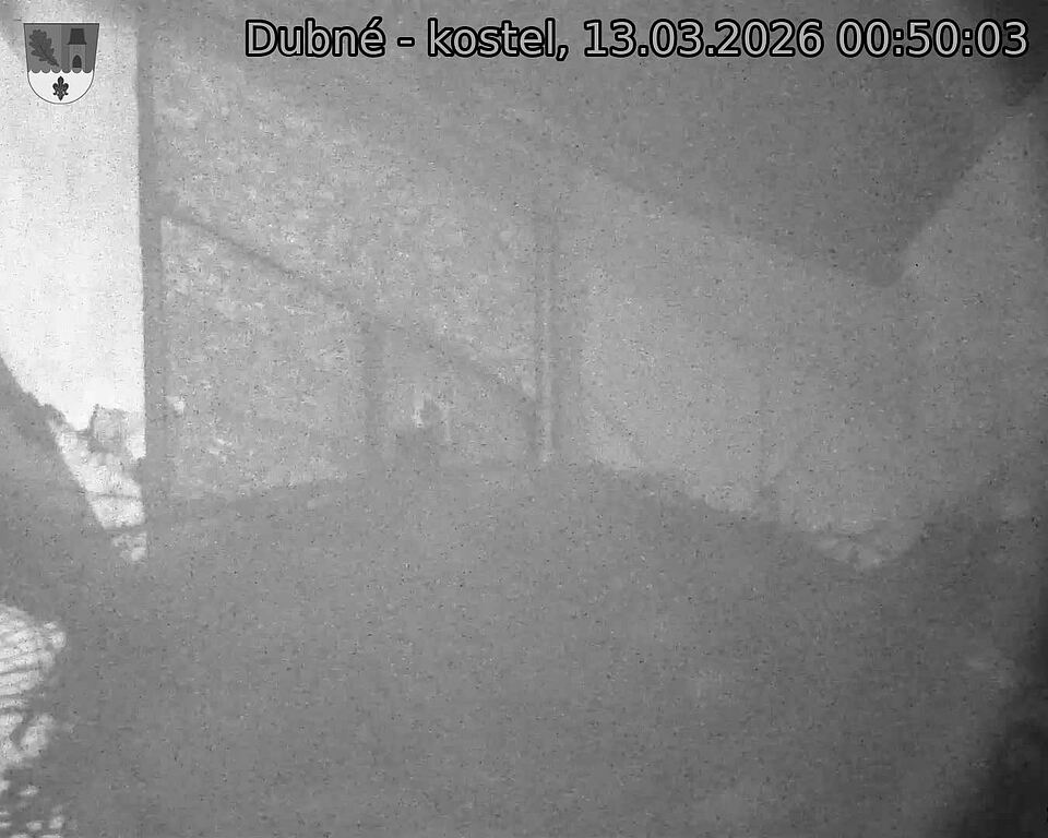 Capi_Dubne_20260313_005003.jpg (1350&nbsp;x&nbsp;1080)