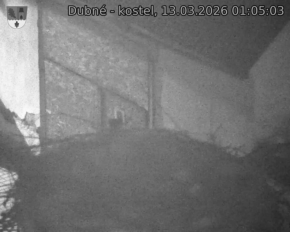 Capi_Dubne_20260313_010503.jpg (1350&nbsp;x&nbsp;1080)