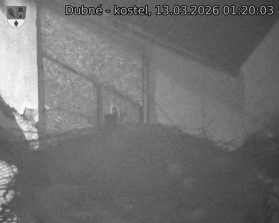 Capi_Dubne_20260313_012003.jpg (1350&nbsp;x&nbsp;1080)