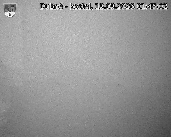 Capi_Dubne_20260313_014502.jpg (1350&nbsp;x&nbsp;1080)