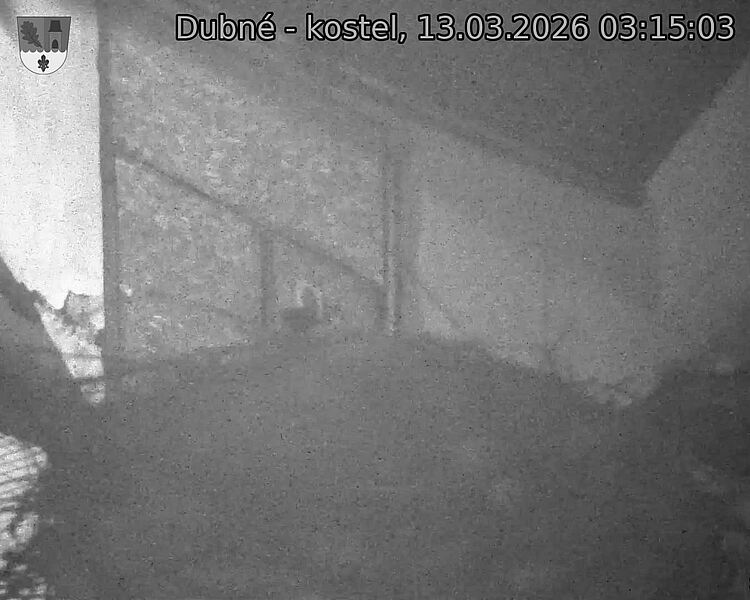 Capi_Dubne_20260313_031503.jpg (1350&nbsp;x&nbsp;1080)