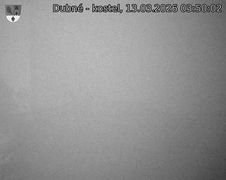 Capi_Dubne_20260313_035002.jpg (1350&nbsp;x&nbsp;1080)
