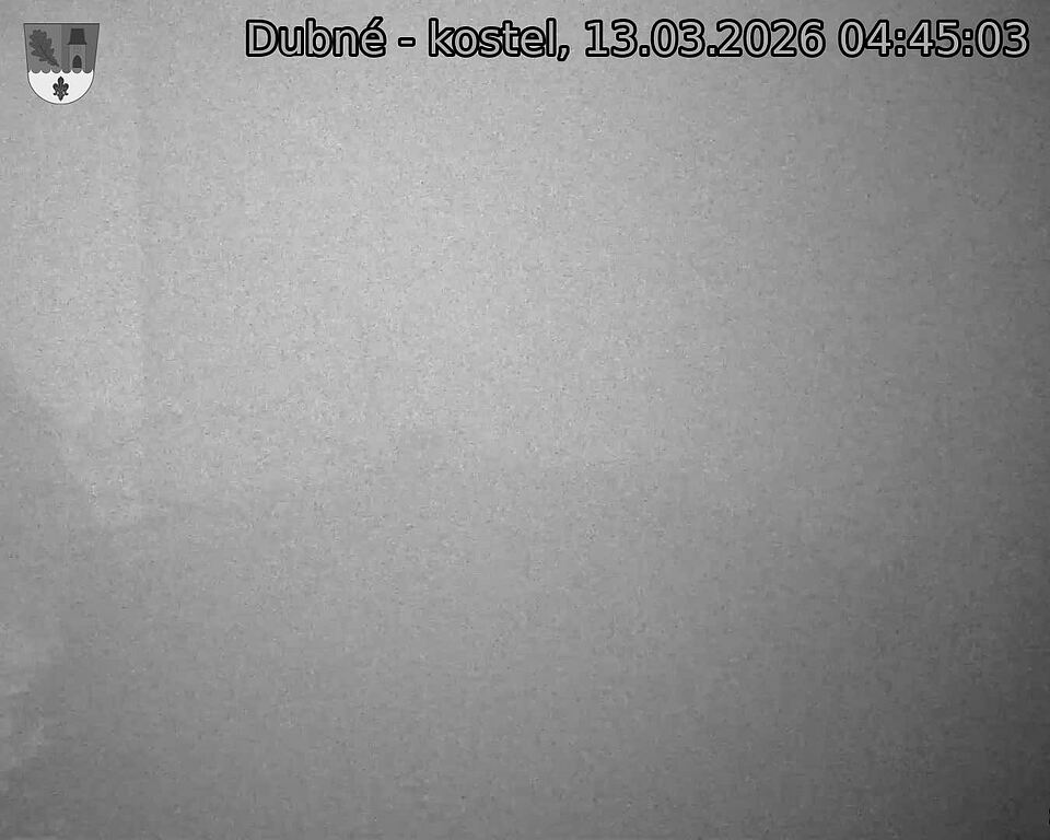 Capi_Dubne_20260313_044503.jpg (1350&nbsp;x&nbsp;1080)