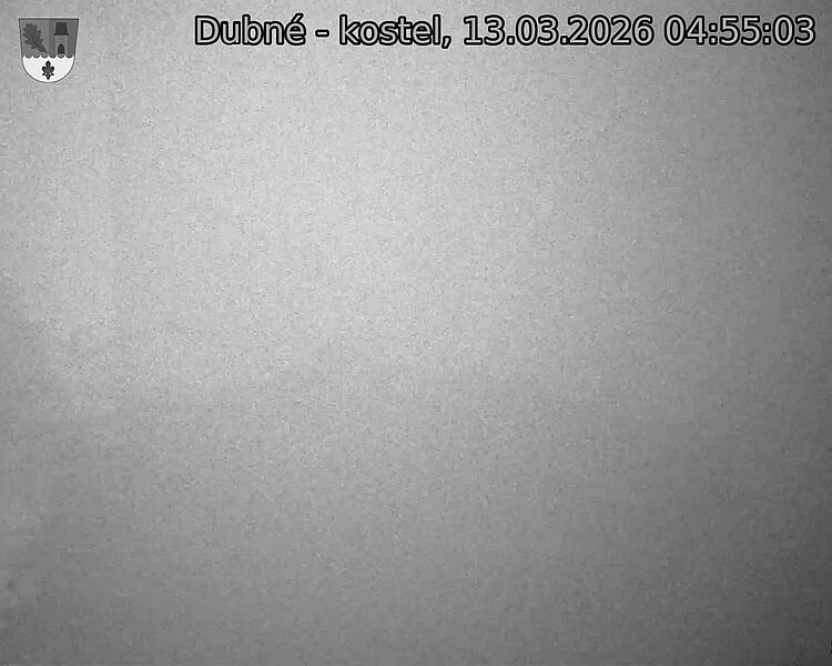 Capi_Dubne_20260313_045503.jpg (1350&nbsp;x&nbsp;1080)