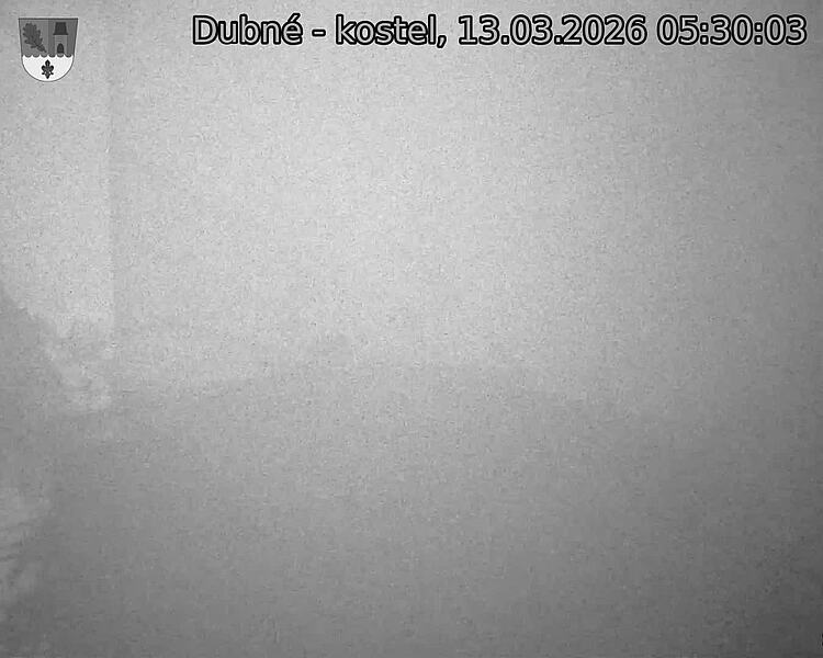 Capi_Dubne_20260313_053003.jpg (1350&nbsp;x&nbsp;1080)