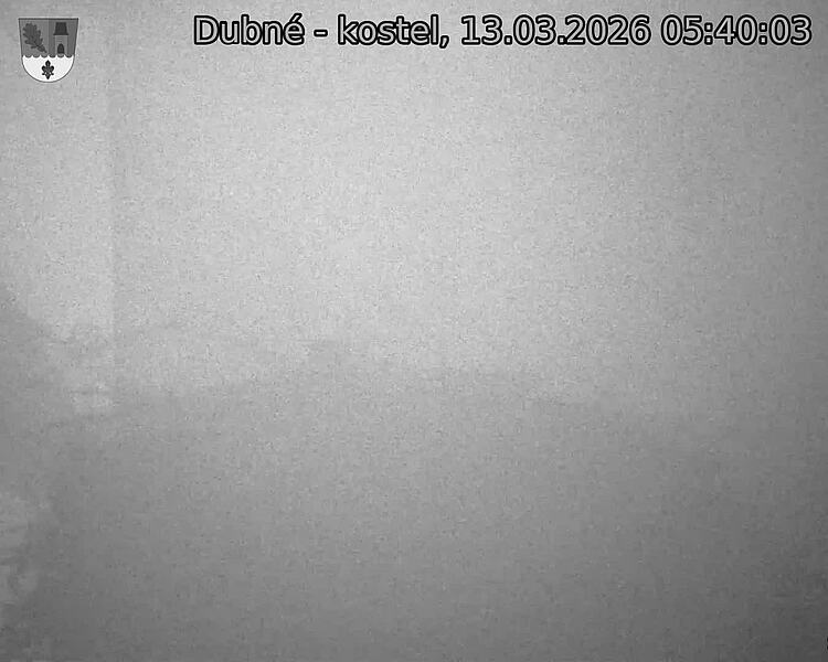 Capi_Dubne_20260313_054003.jpg (1350&nbsp;x&nbsp;1080)