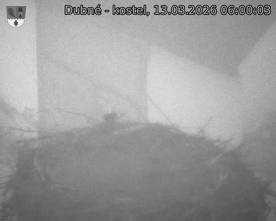 Capi_Dubne_20260313_060003.jpg (1350&nbsp;x&nbsp;1080)