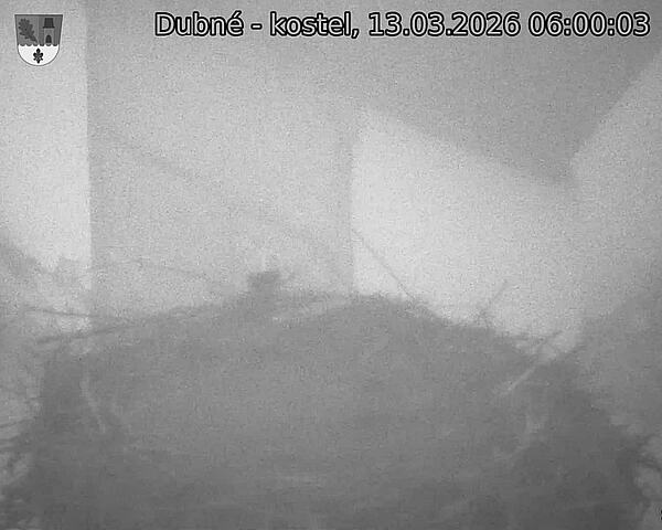 Capi_Dubne_20260313_060003.jpg (1350&nbsp;x&nbsp;1080)