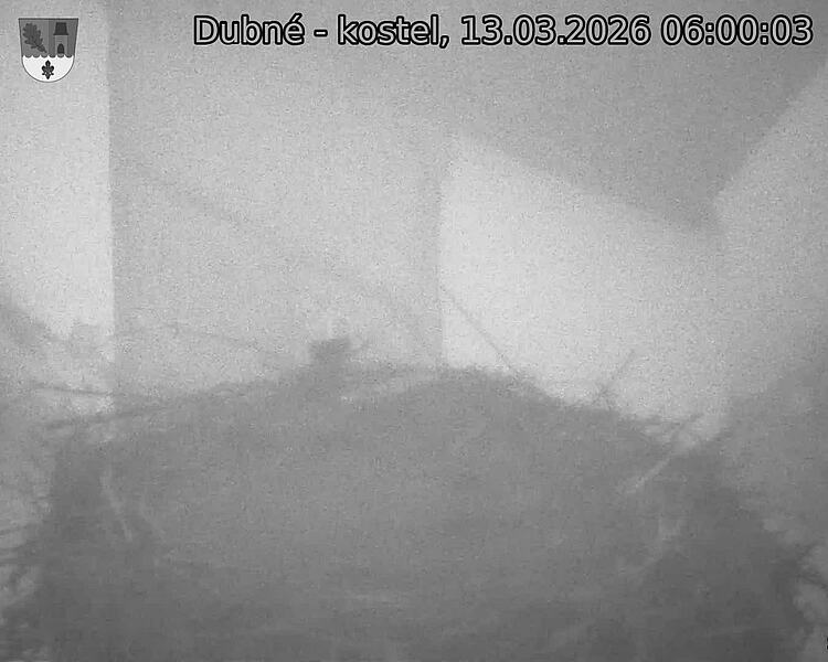 Capi_Dubne_20260313_060003.jpg (1350&nbsp;x&nbsp;1080)