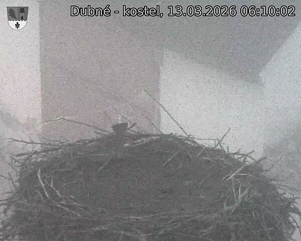 Capi_Dubne_20260313_061002.jpg (1350&nbsp;x&nbsp;1080)