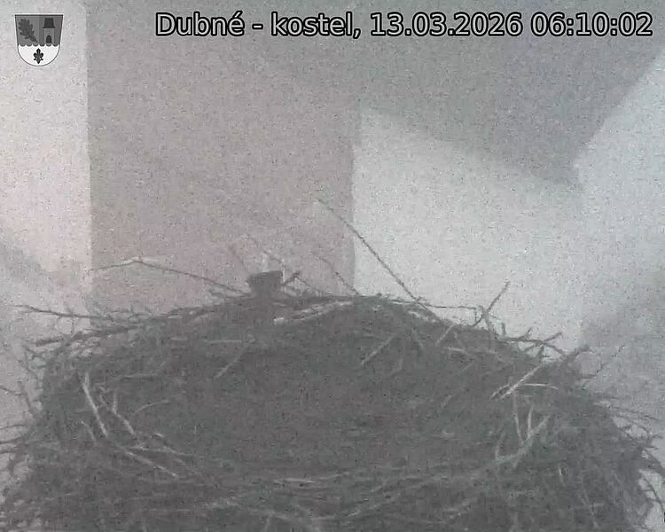Capi_Dubne_20260313_061002.jpg (1350&nbsp;x&nbsp;1080)