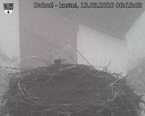 Capi_Dubne_20260313_061503.jpg (1350&nbsp;x&nbsp;1080)