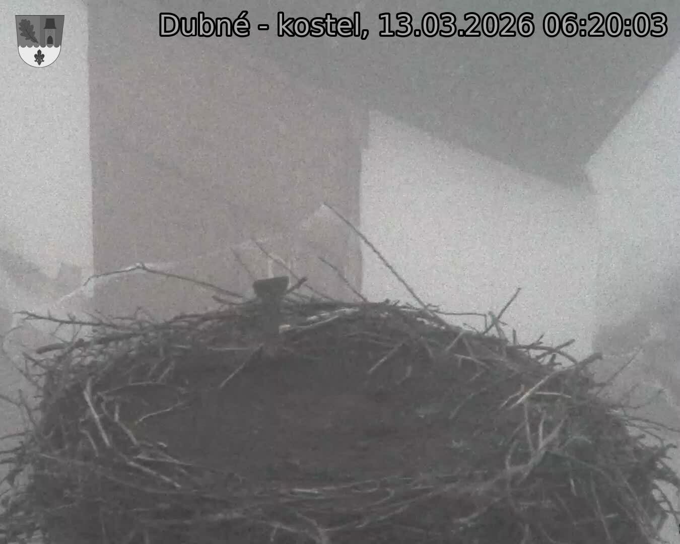 Capi_Dubne_20260313_062003.jpg (1350&nbsp;x&nbsp;1080)