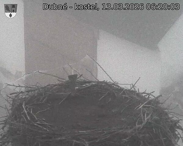 Capi_Dubne_20260313_062003.jpg (1350&nbsp;x&nbsp;1080)