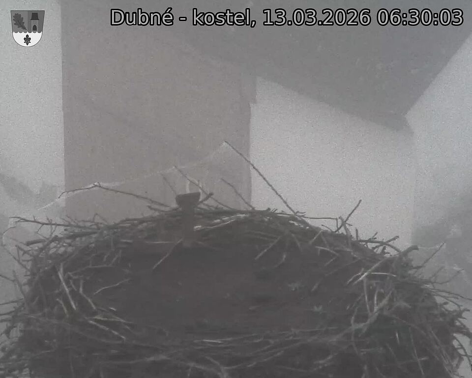 Capi_Dubne_20260313_063003.jpg (1350&nbsp;x&nbsp;1080)