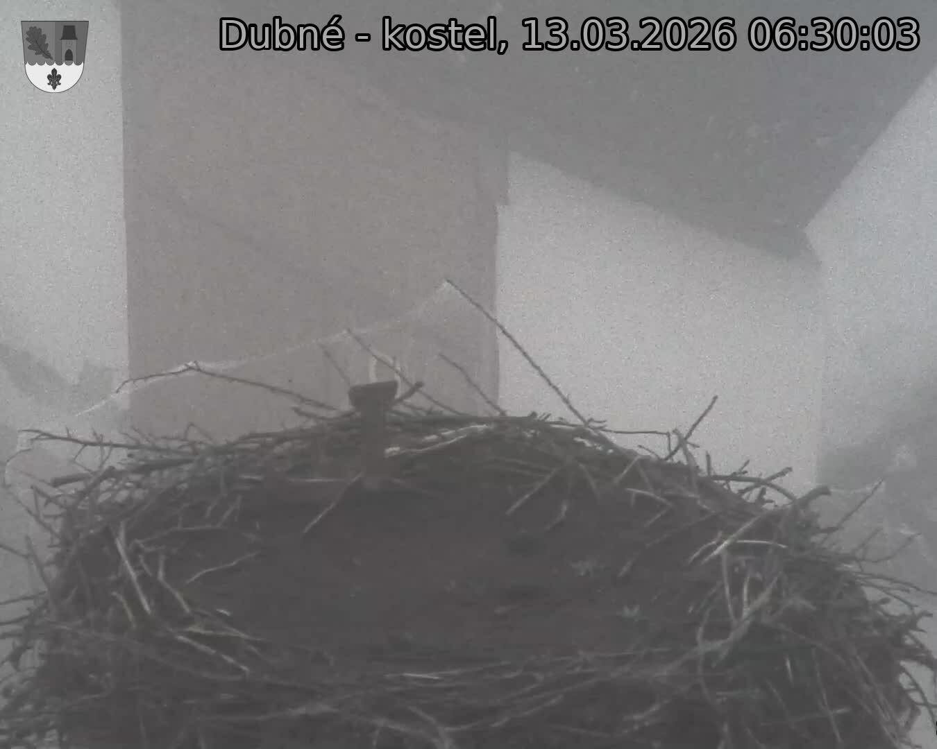 Capi_Dubne_20260313_063003.jpg (1350&nbsp;x&nbsp;1080)
