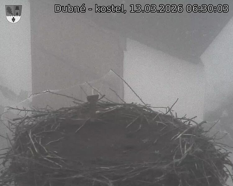 Capi_Dubne_20260313_063003.jpg (1350&nbsp;x&nbsp;1080)