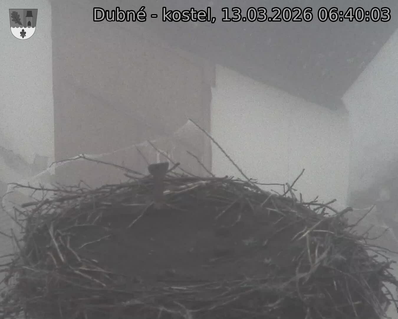 Capi_Dubne_20260313_064003.jpg (1350&nbsp;x&nbsp;1080)