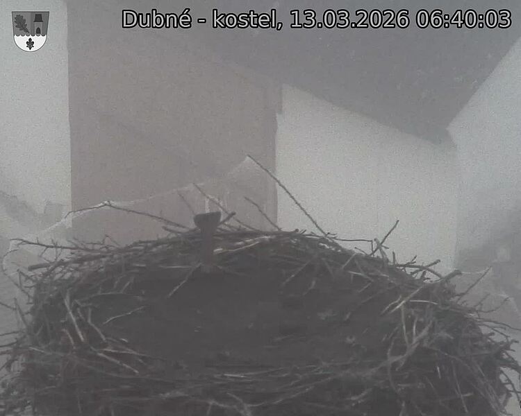 Capi_Dubne_20260313_064003.jpg (1350&nbsp;x&nbsp;1080)