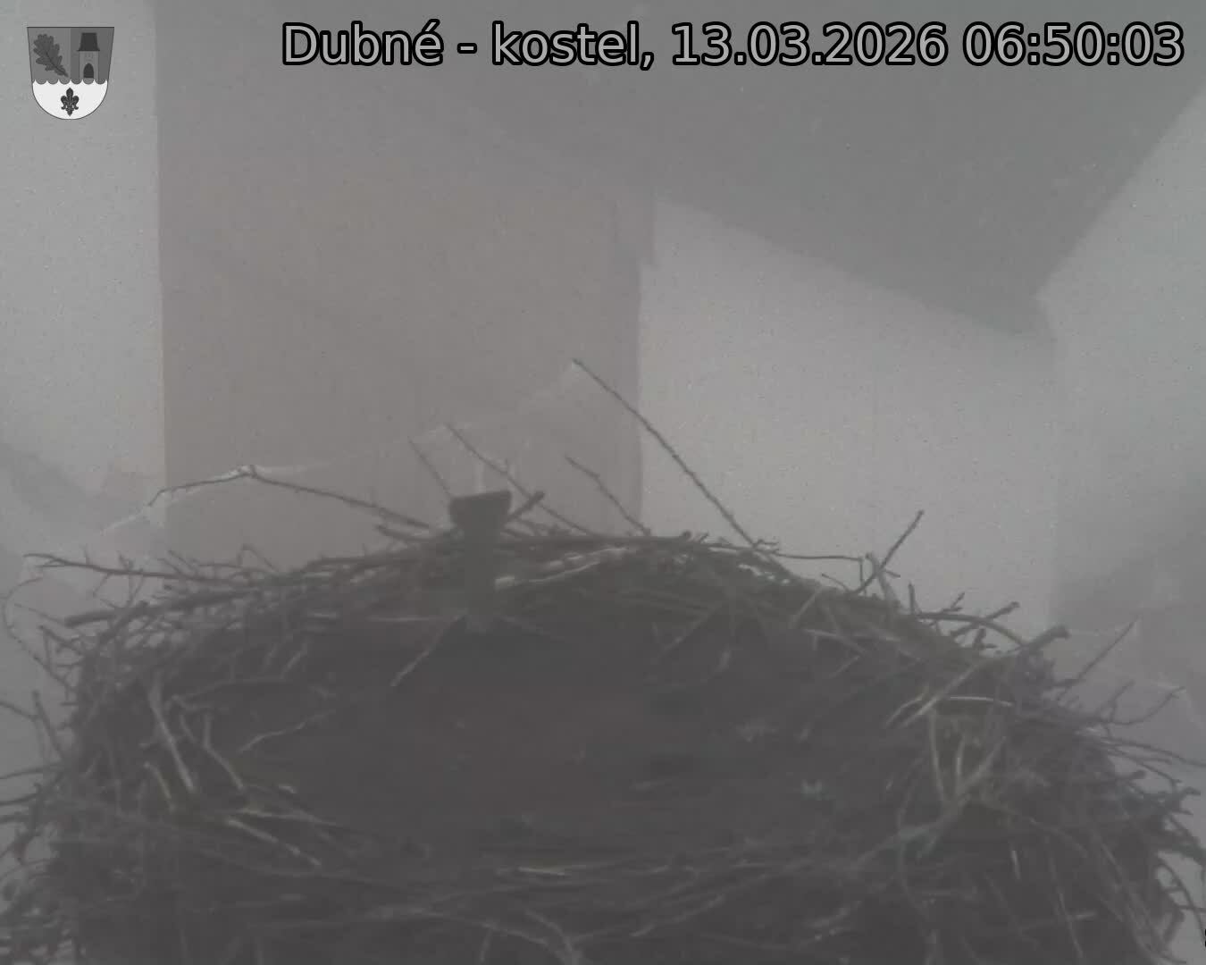 Capi_Dubne_20260313_065003.jpg (1350&nbsp;x&nbsp;1080)