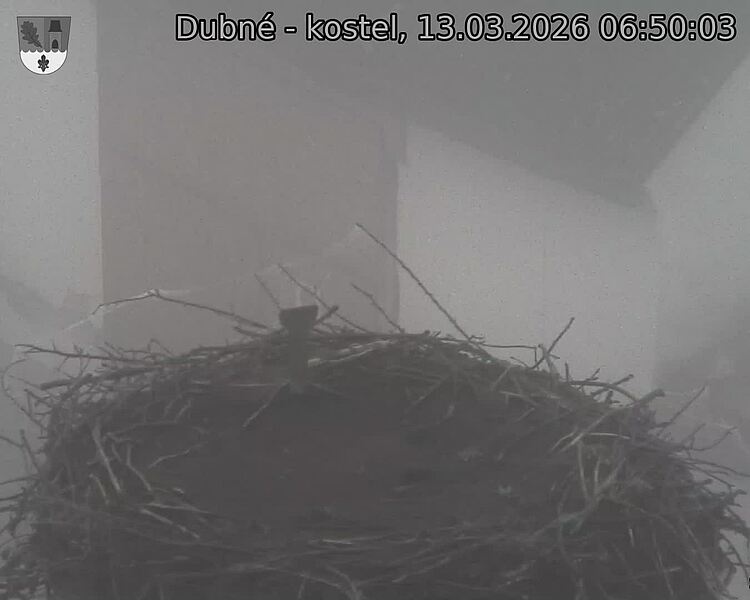 Capi_Dubne_20260313_065003.jpg (1350&nbsp;x&nbsp;1080)