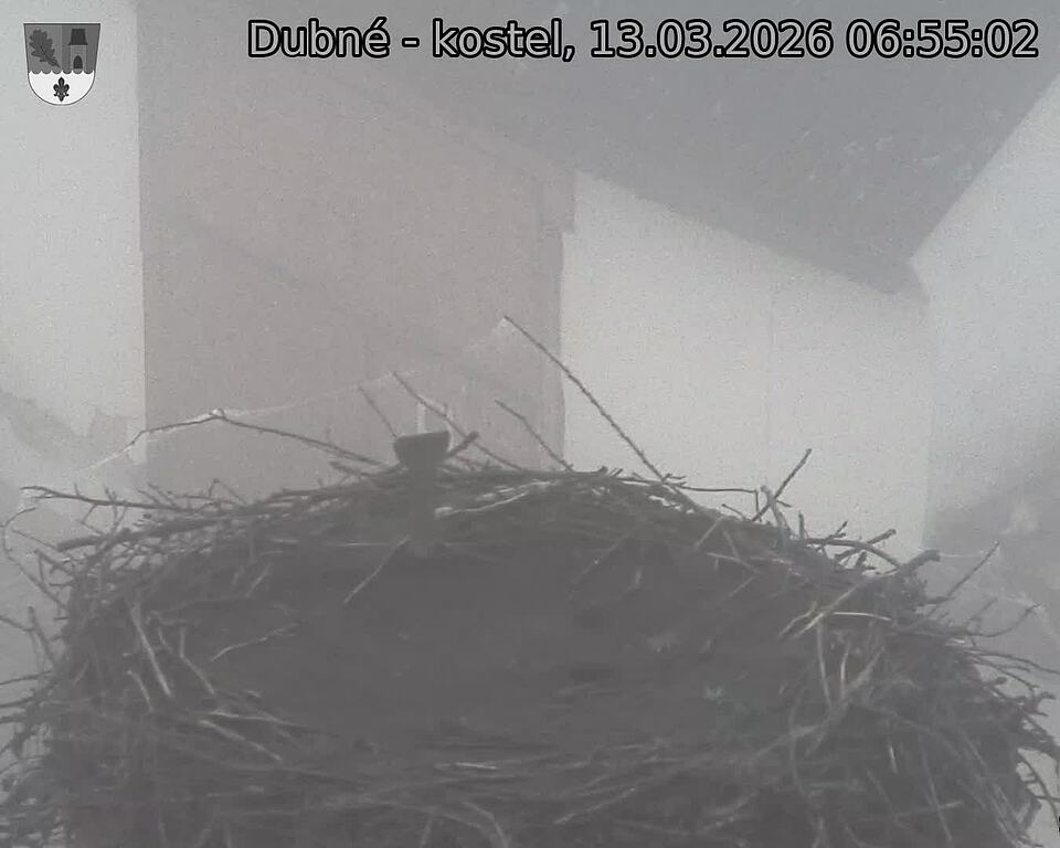 Capi_Dubne_20260313_065502.jpg (1350&nbsp;x&nbsp;1080)