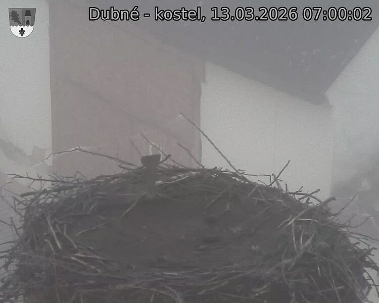 Capi_Dubne_20260313_070002.jpg (1350&nbsp;x&nbsp;1080)