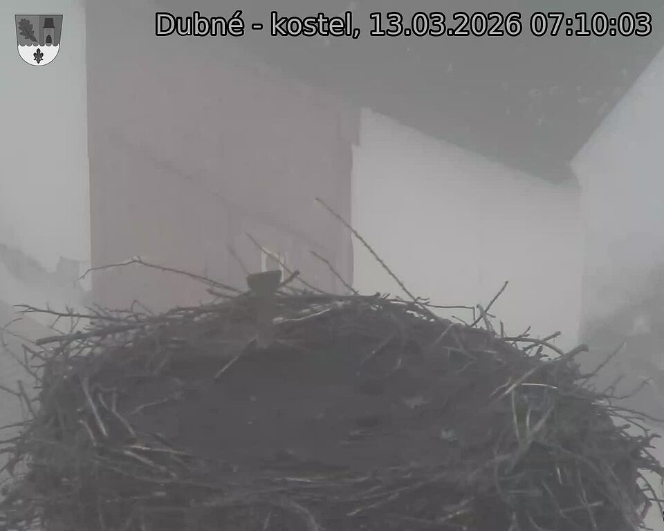 Capi_Dubne_20260313_071003.jpg (1350&nbsp;x&nbsp;1080)