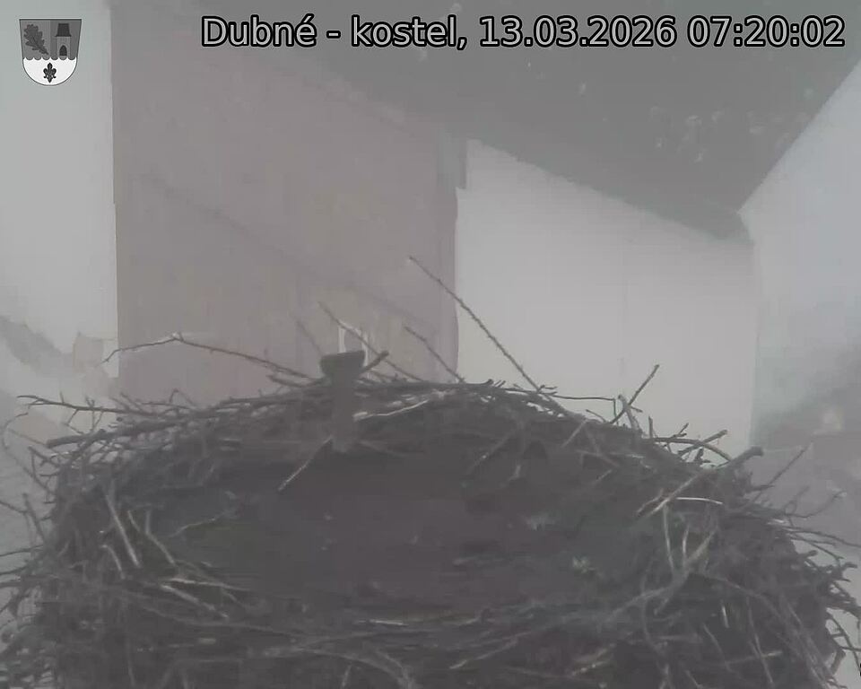 Capi_Dubne_20260313_072002.jpg (1350&nbsp;x&nbsp;1080)