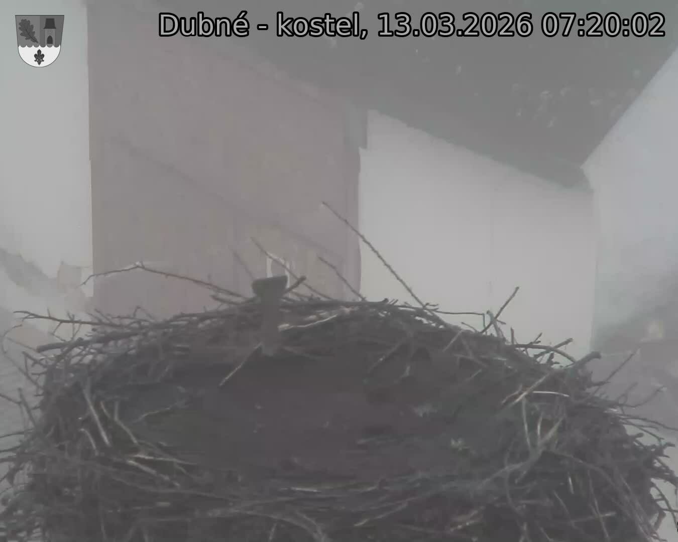 Capi_Dubne_20260313_072002.jpg (1350&nbsp;x&nbsp;1080)
